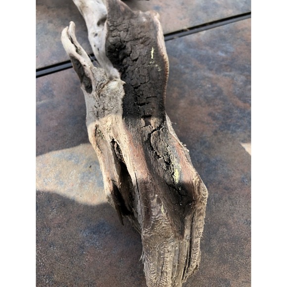 Natural Driftwood for Plants Terrarium Taxidermy Art Projects - Picture 6 of 8